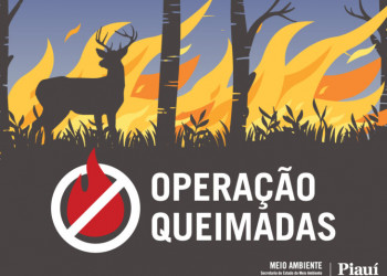 Operação Queimadas: Instituições unem esforços para reduzir efeitos das queimadas no Piauí